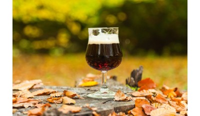 Recomendaciones para Noviembre